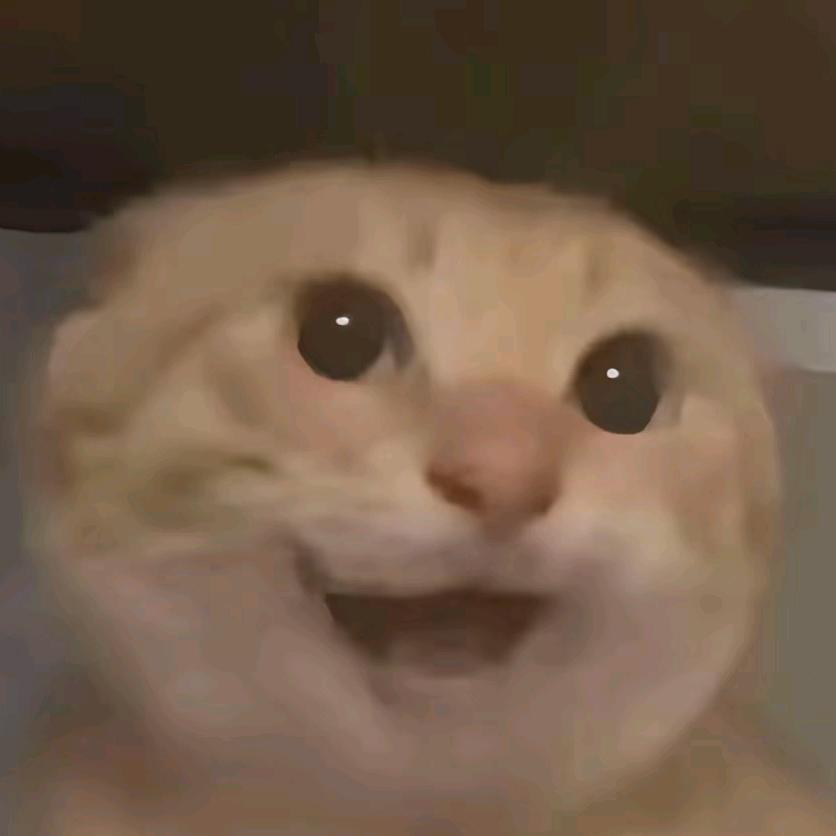 一只鱼，(国服飞机)