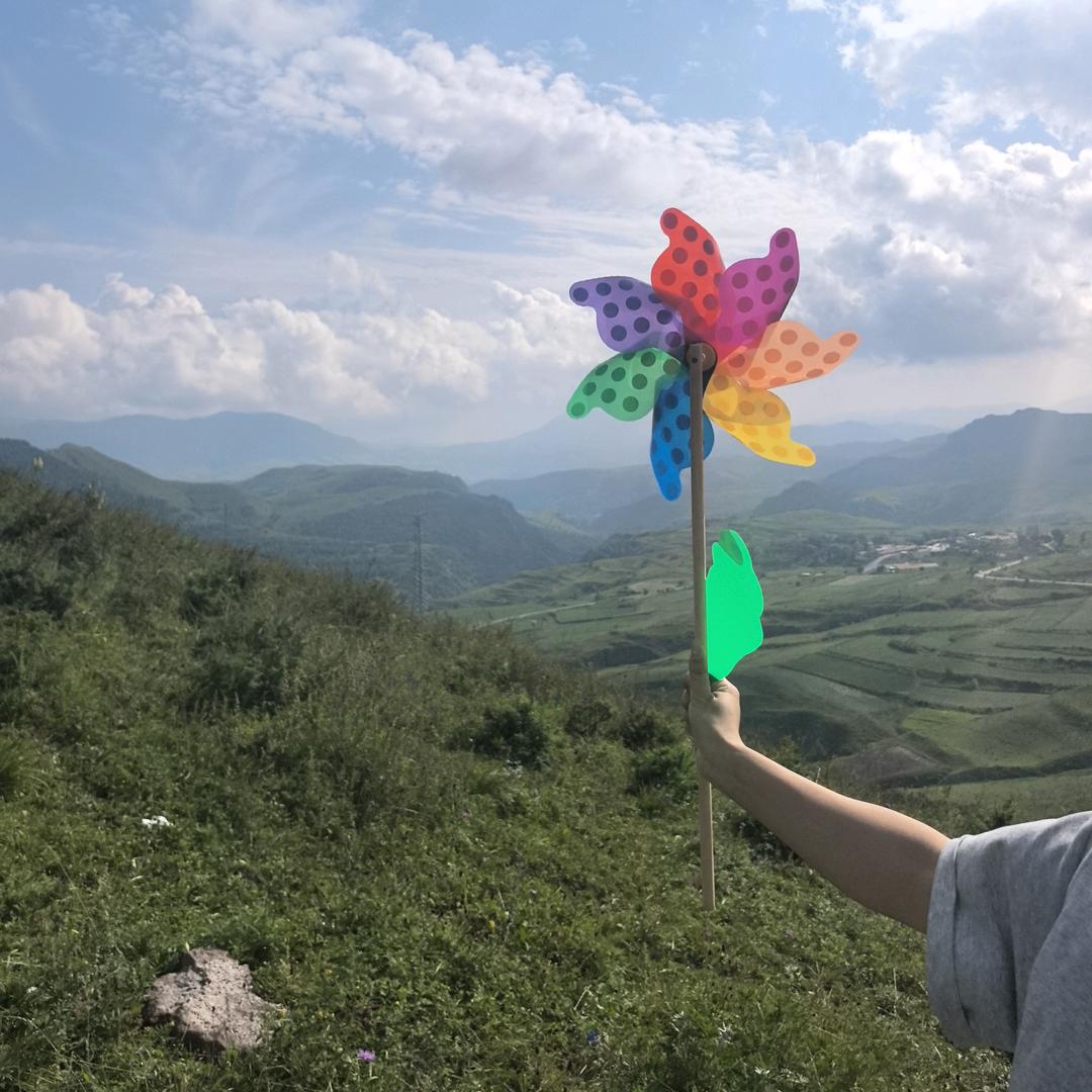 见面鱼块