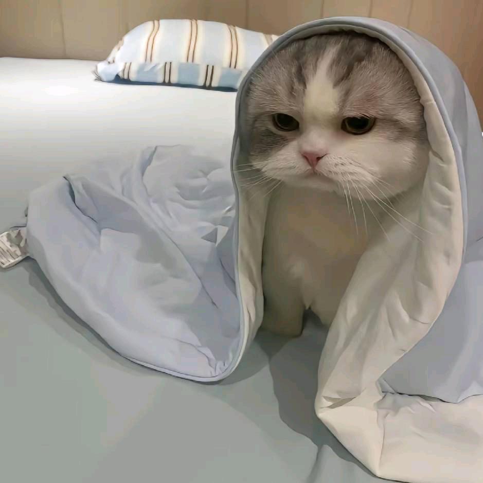 藏进深海的小鱼