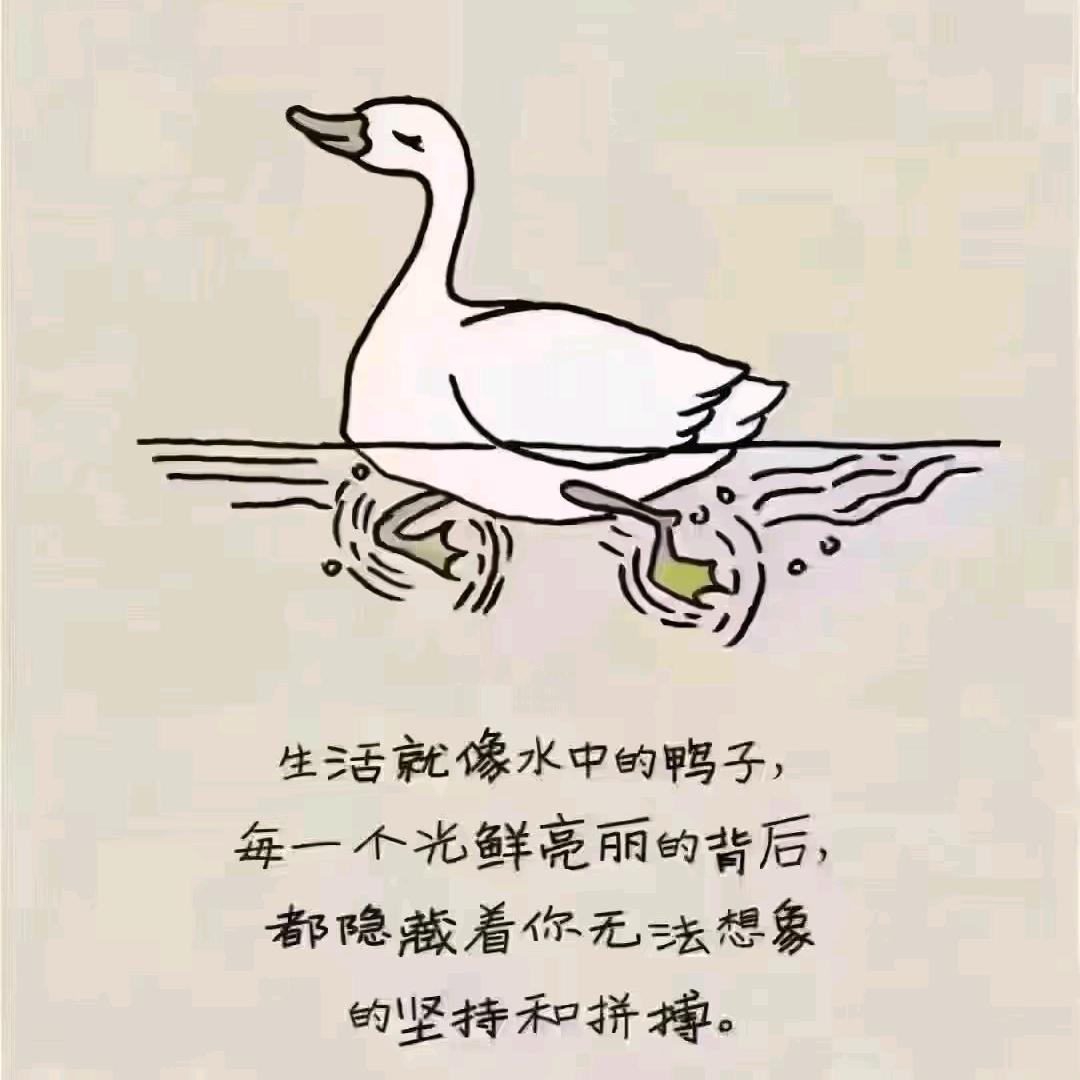 一枝独秀