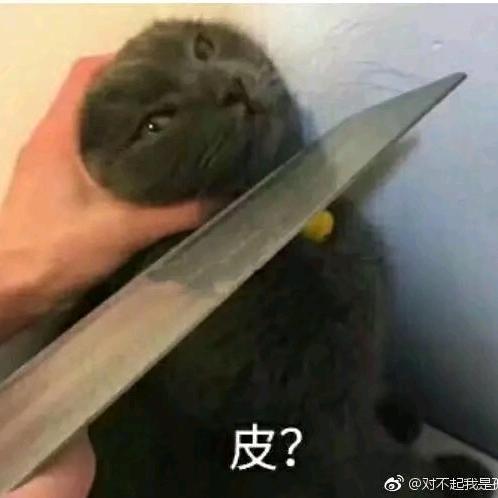 长麻猫寄子