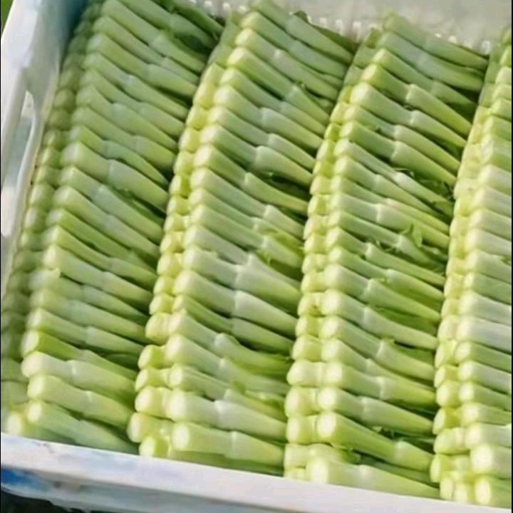 拒绝私聊