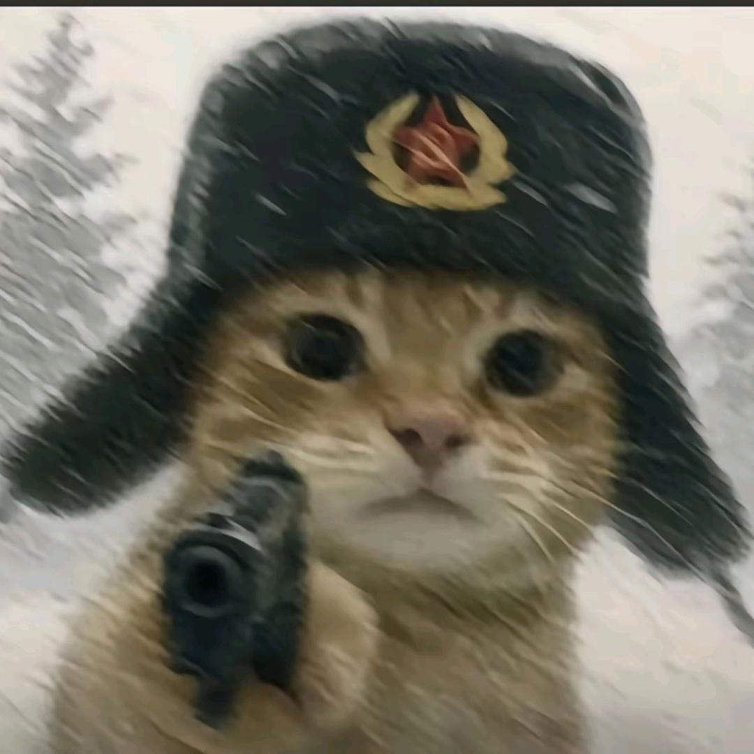 当三被原主发现