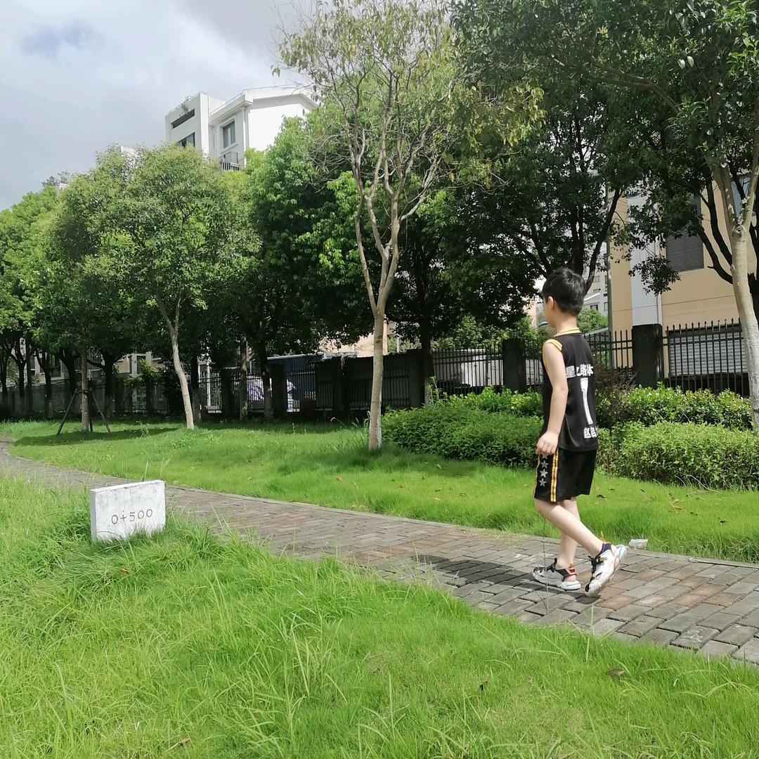 紫玫瑰