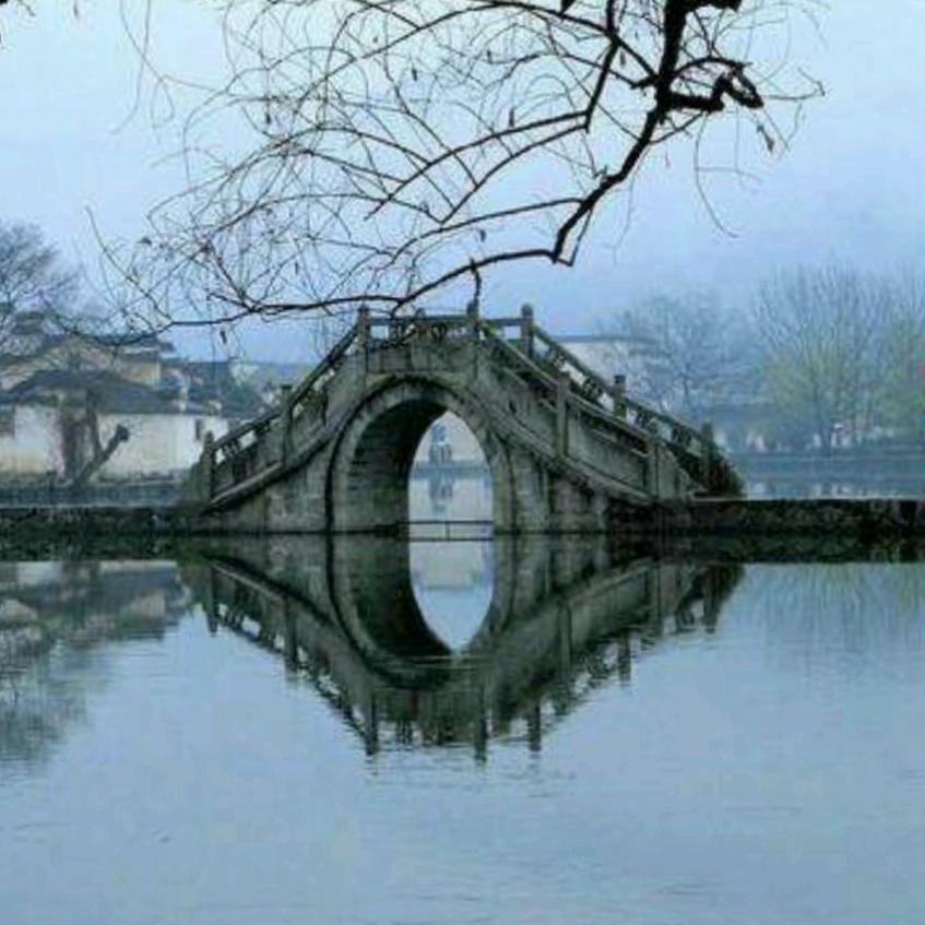 理智派