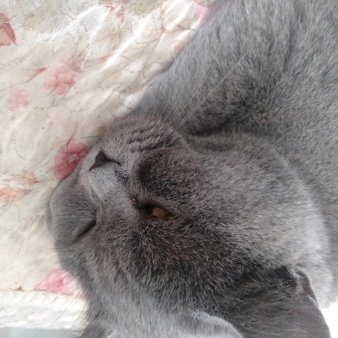 ❤
