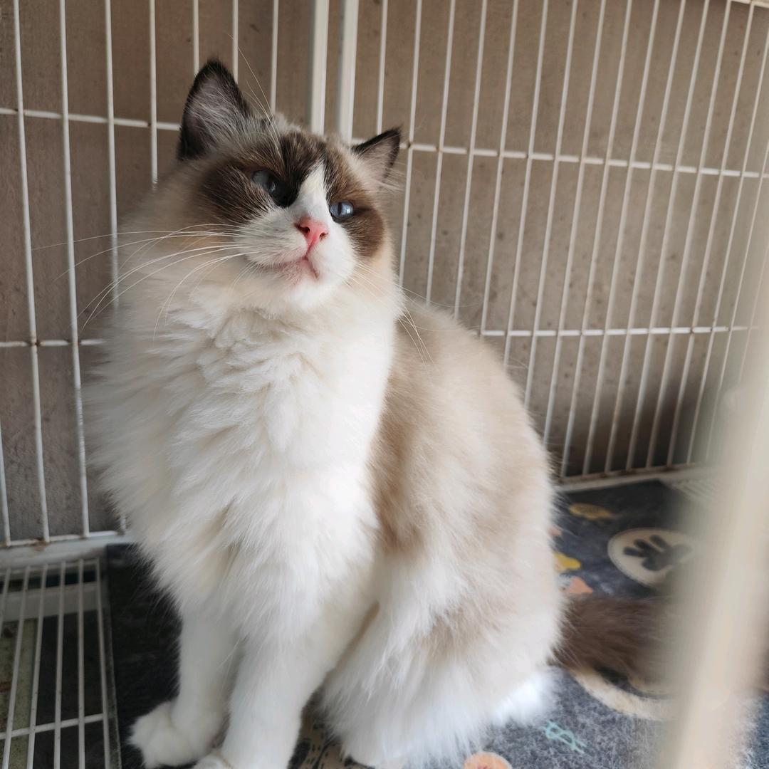 ꪋꪆ꪿RedaMancy༊