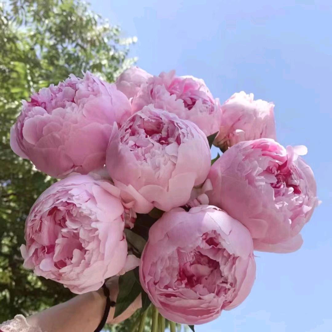 蕴心