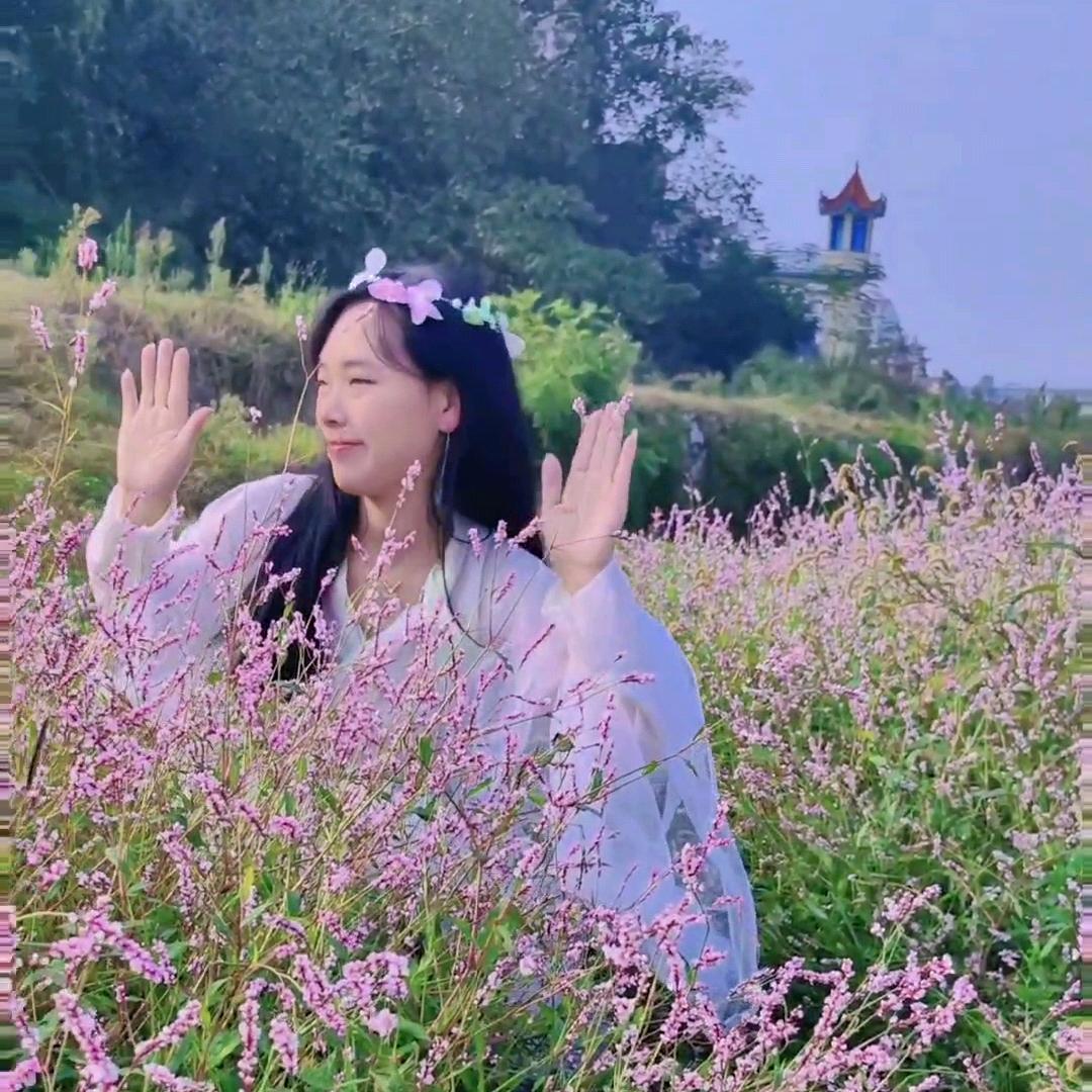 驿路梅花