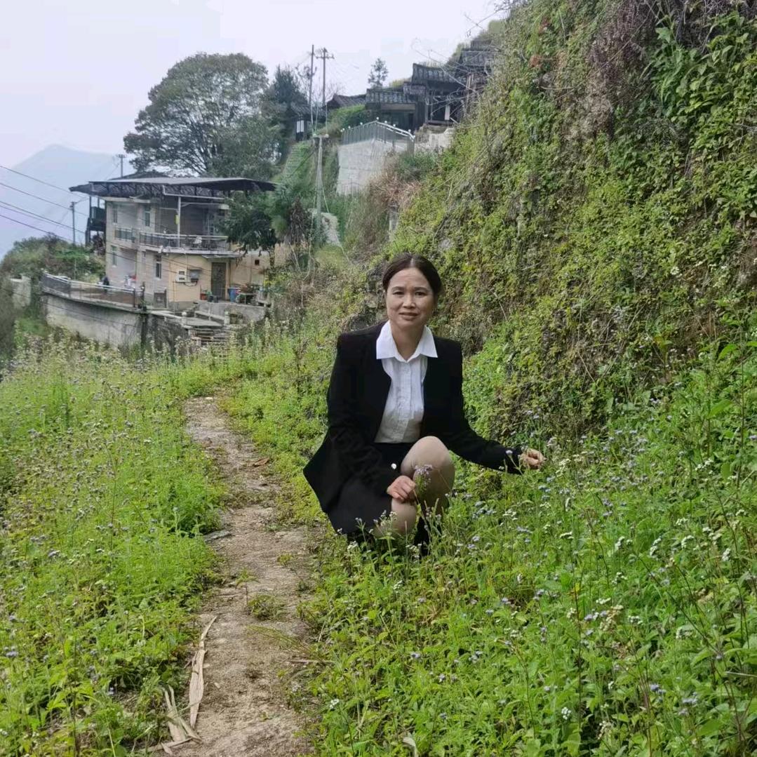 冷蠢才(跳舞唱歌)