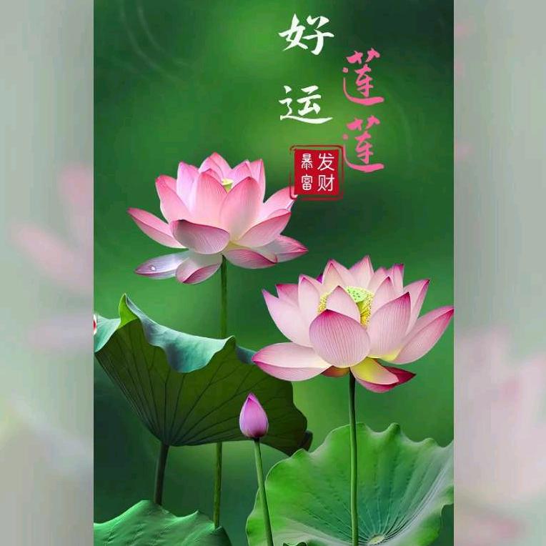 为经他人苦