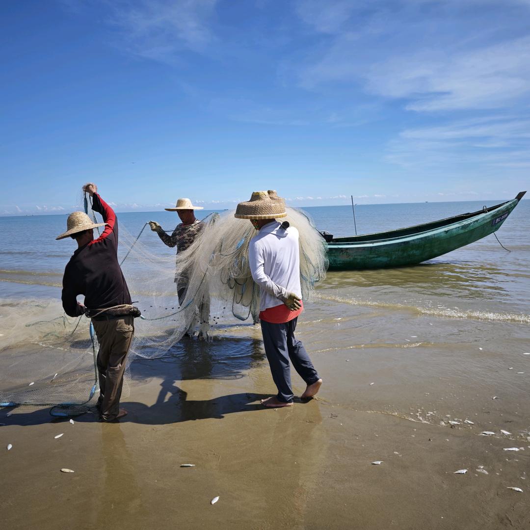 觅味海鲜干货商行