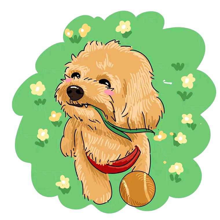 文鸯薄纱马超😃⁶⁸¹