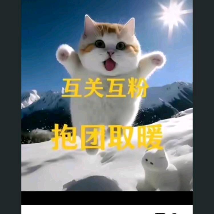 居然王军