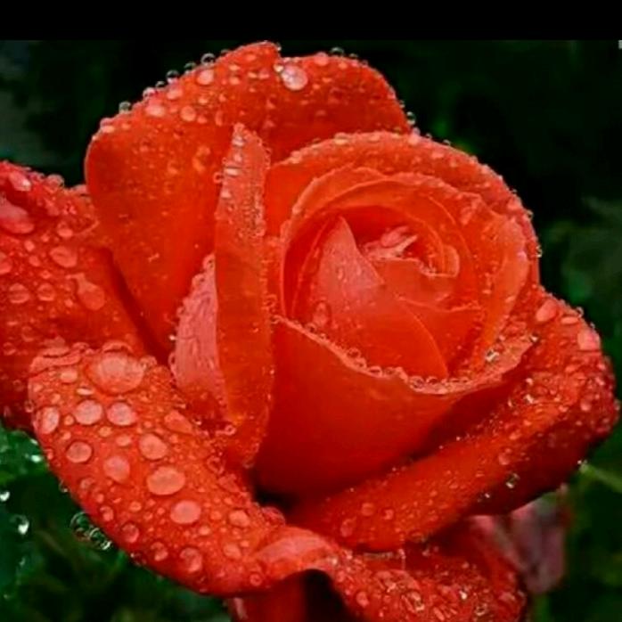 🥀এ᭄封心ꦿ锁💔爱 ོ࿐ᩚ