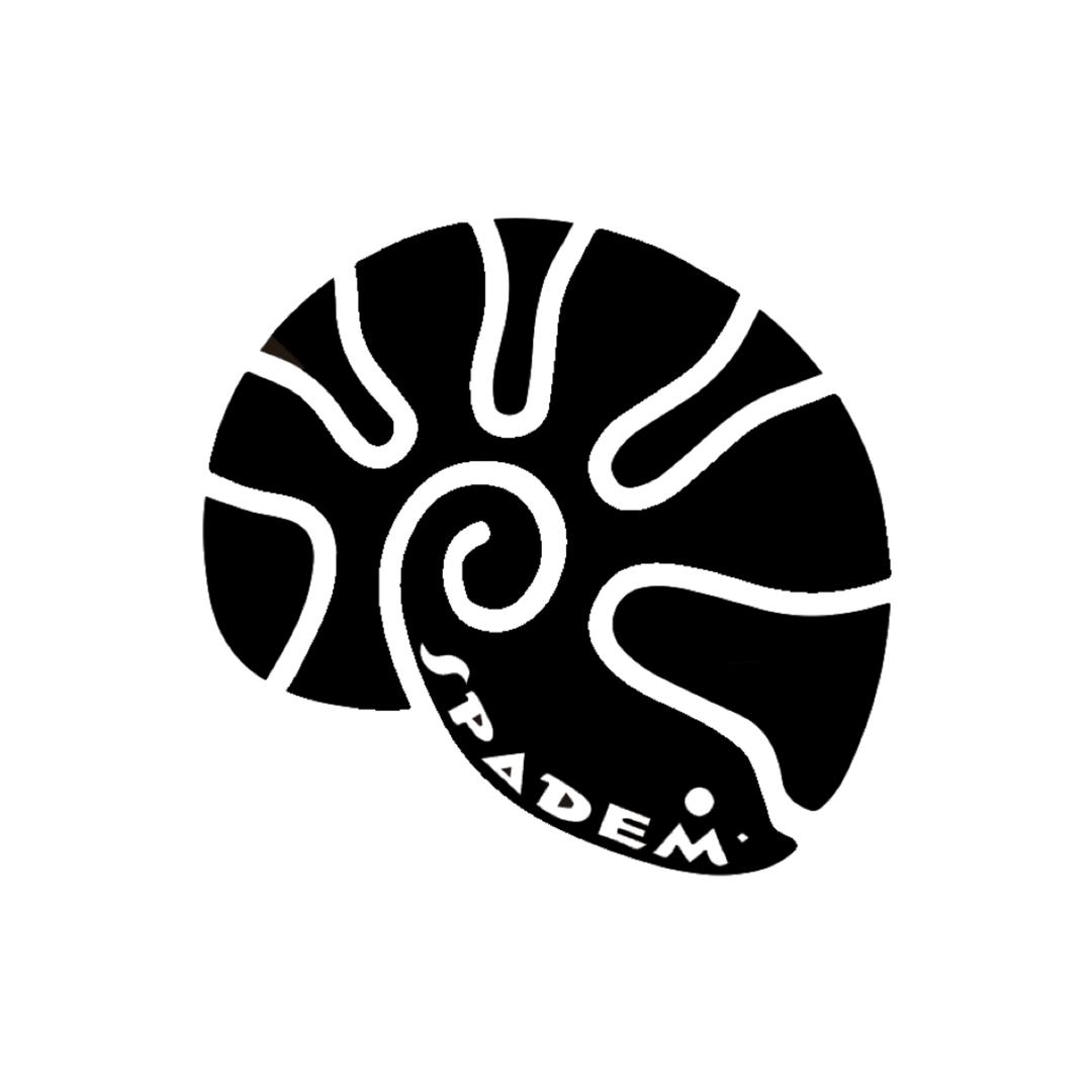 SpadeM爬宠工作室