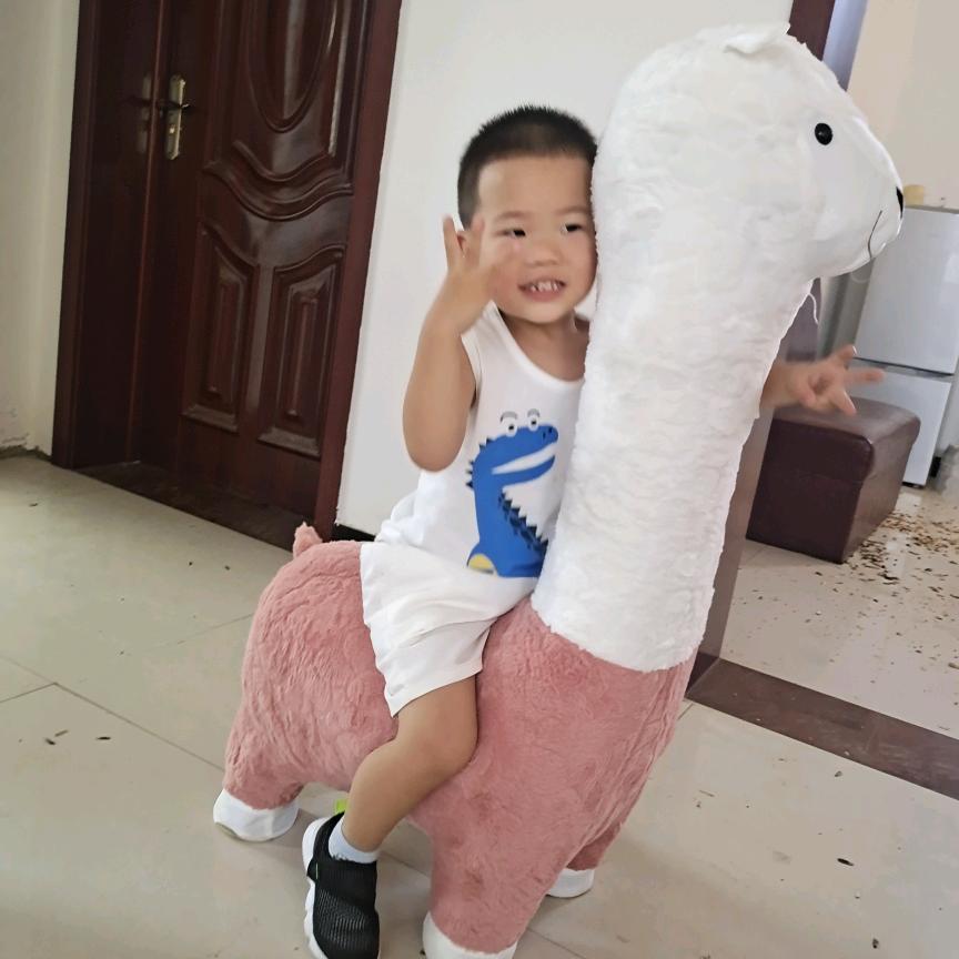顺其自然2205