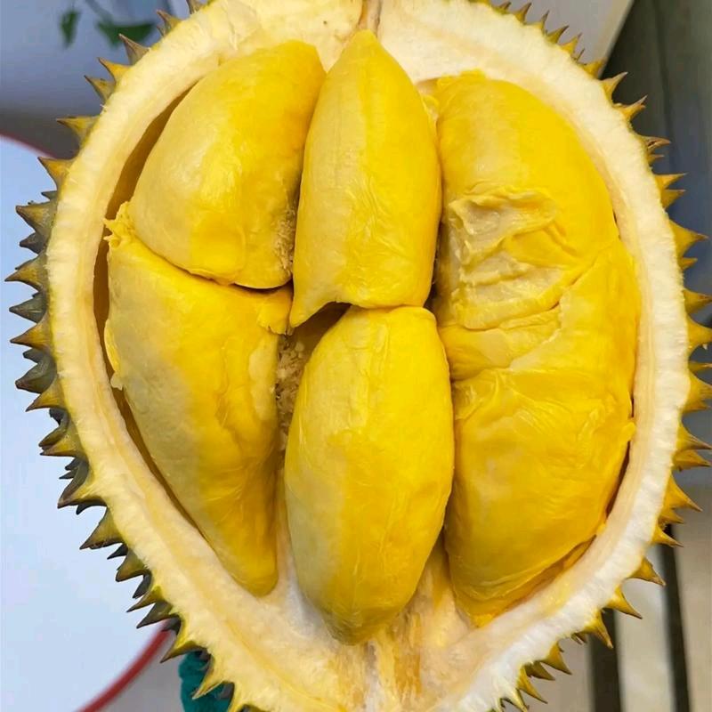 向熹生鲜水果批发