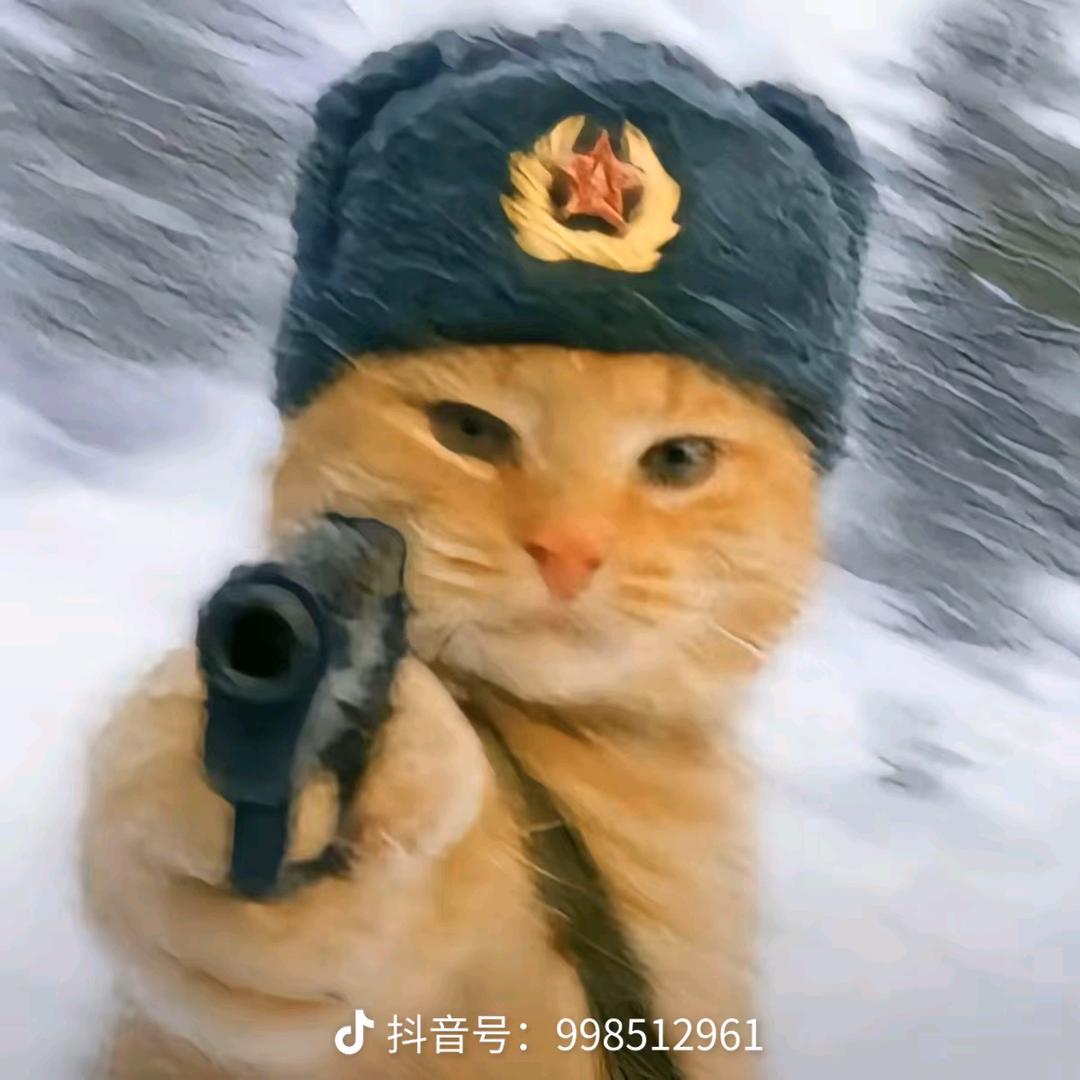 柳随风🇵🇸
