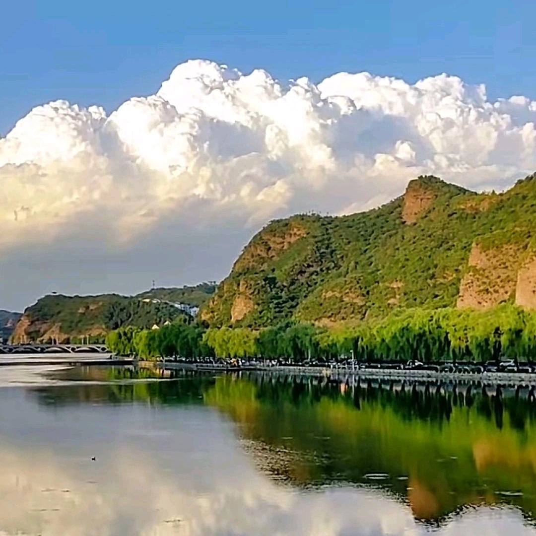龙哥