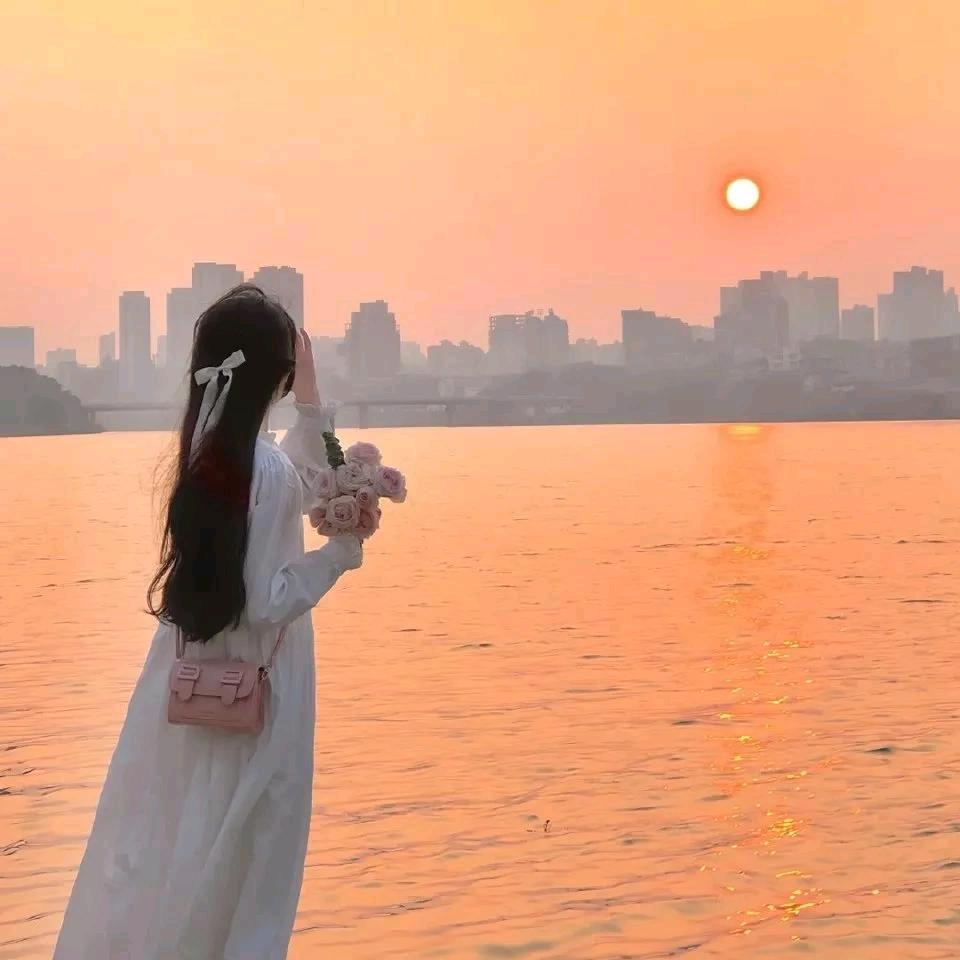 倾城半夏