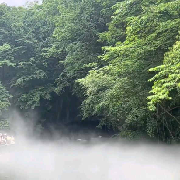 清风明月❤️