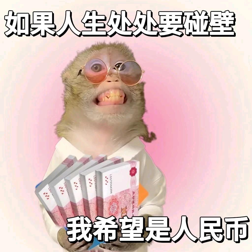 思瑾的备忘录