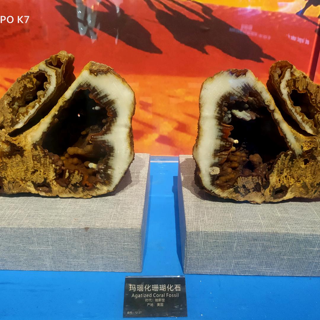 风雨~赶路人