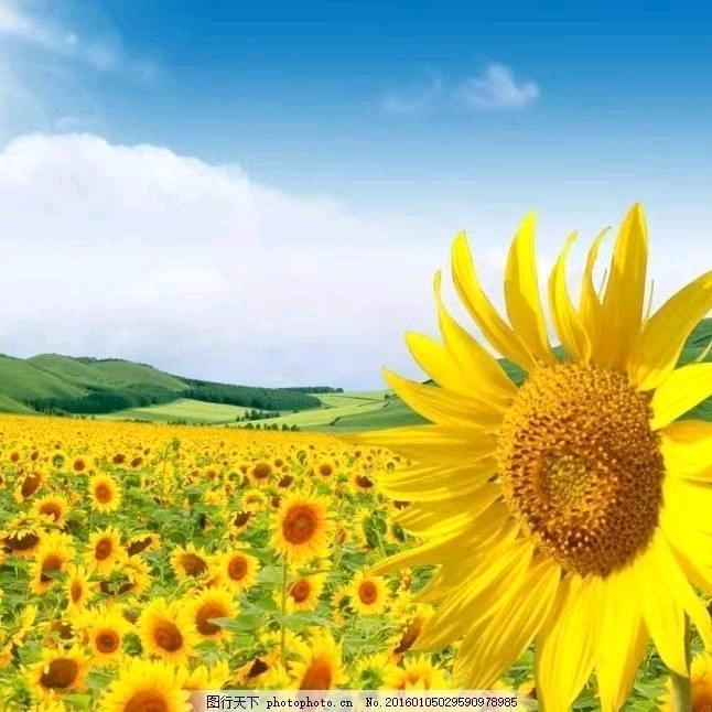 徐明英明天会更好