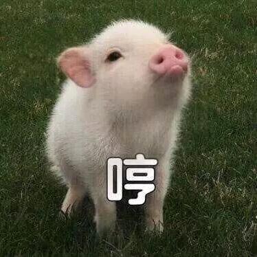 铭记于心（美食旅游推荐）