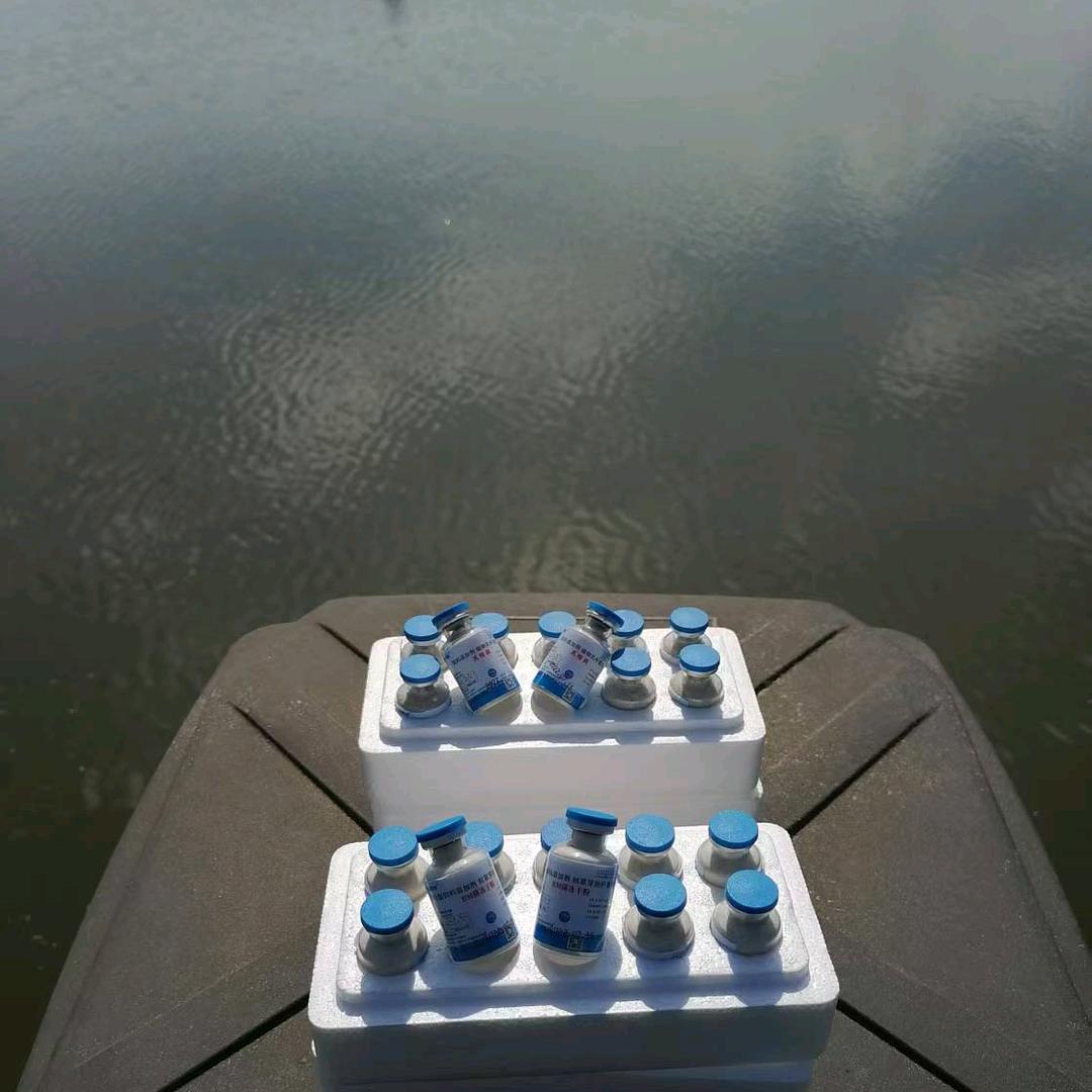 水