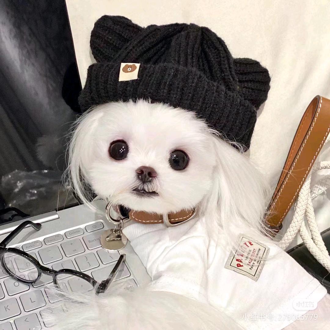 慕瑶琳
