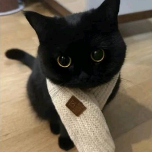 我真的没空和你们闹了