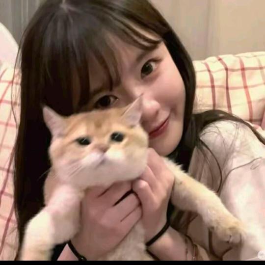 杨安安