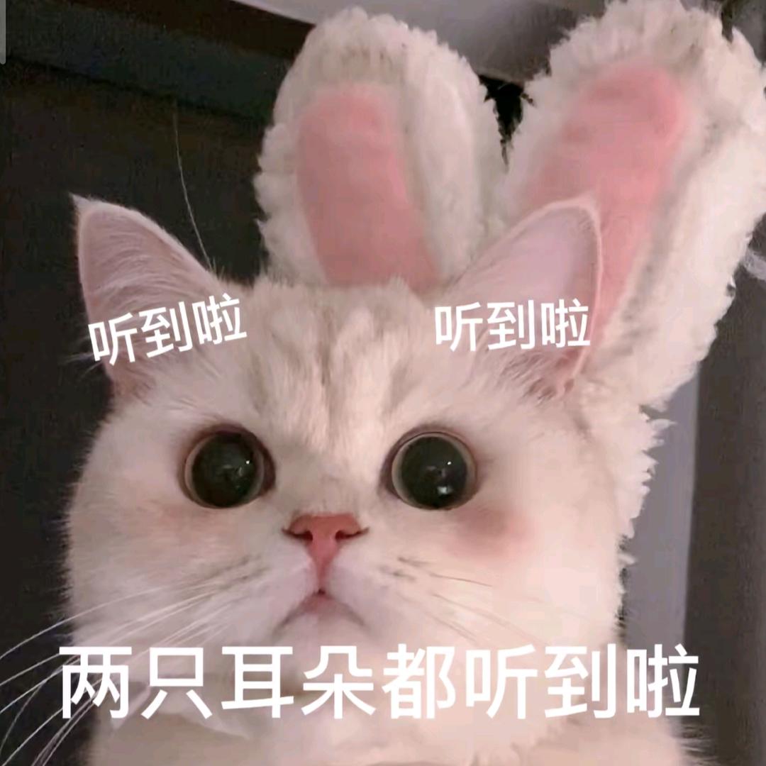 绝境最后一舞