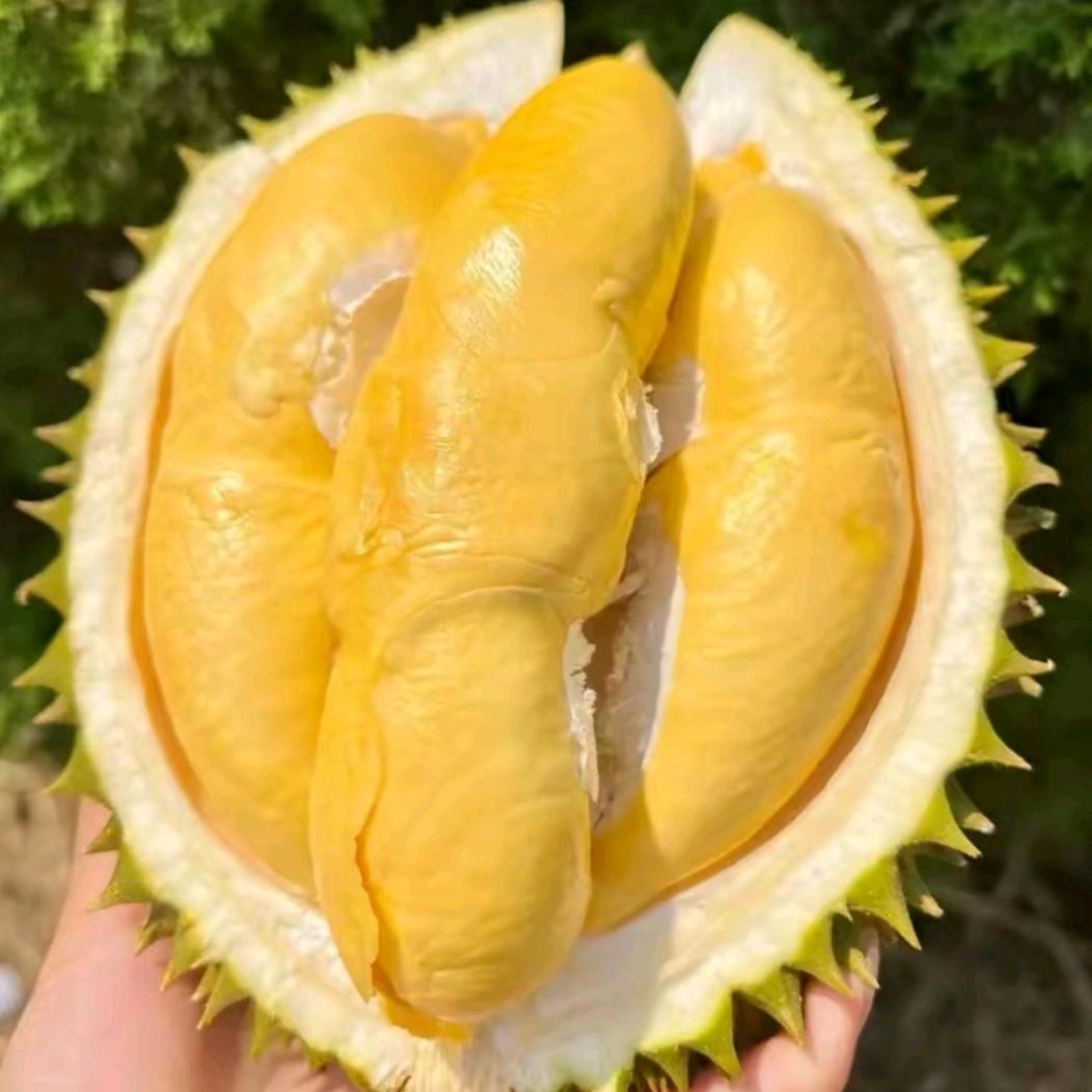 珍珍果蔬铺