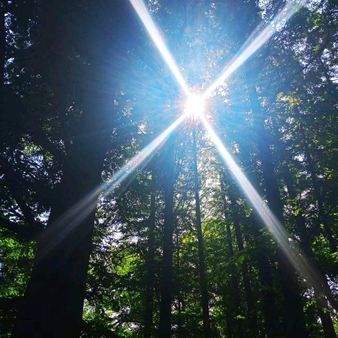 人生若只如初见，