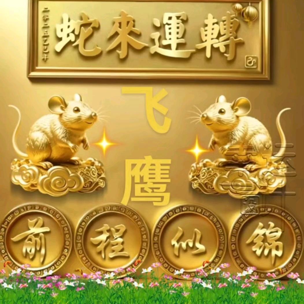 🏆❤️飞鹰💞🧡