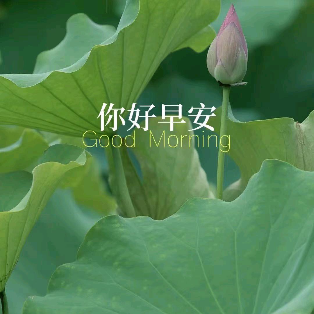 沈轻气爽