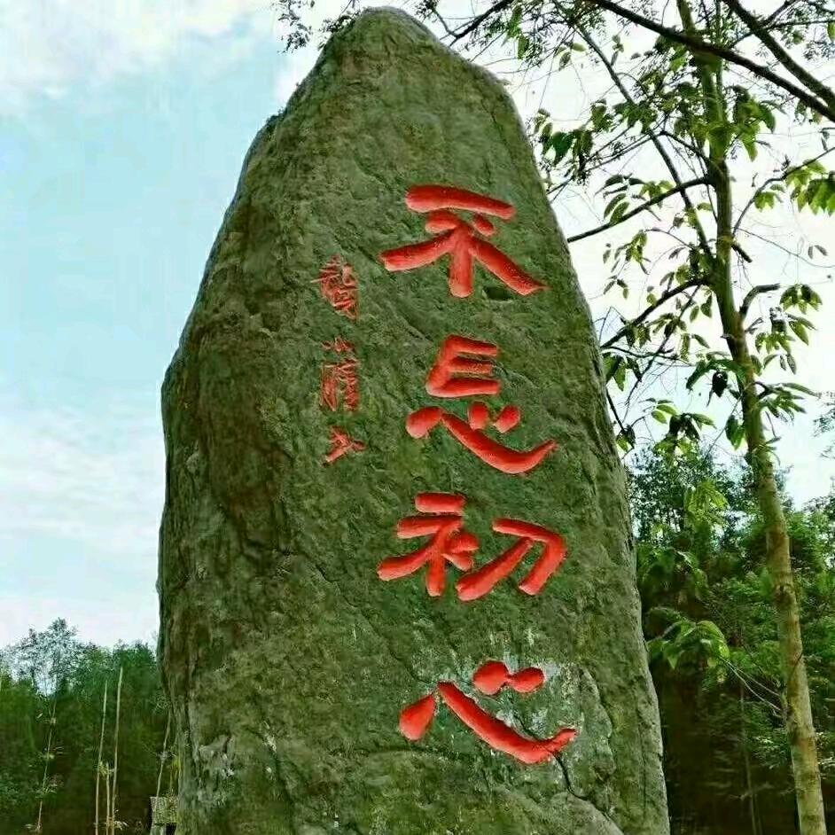 能说服人的；从来不是道理，而是（南墙…