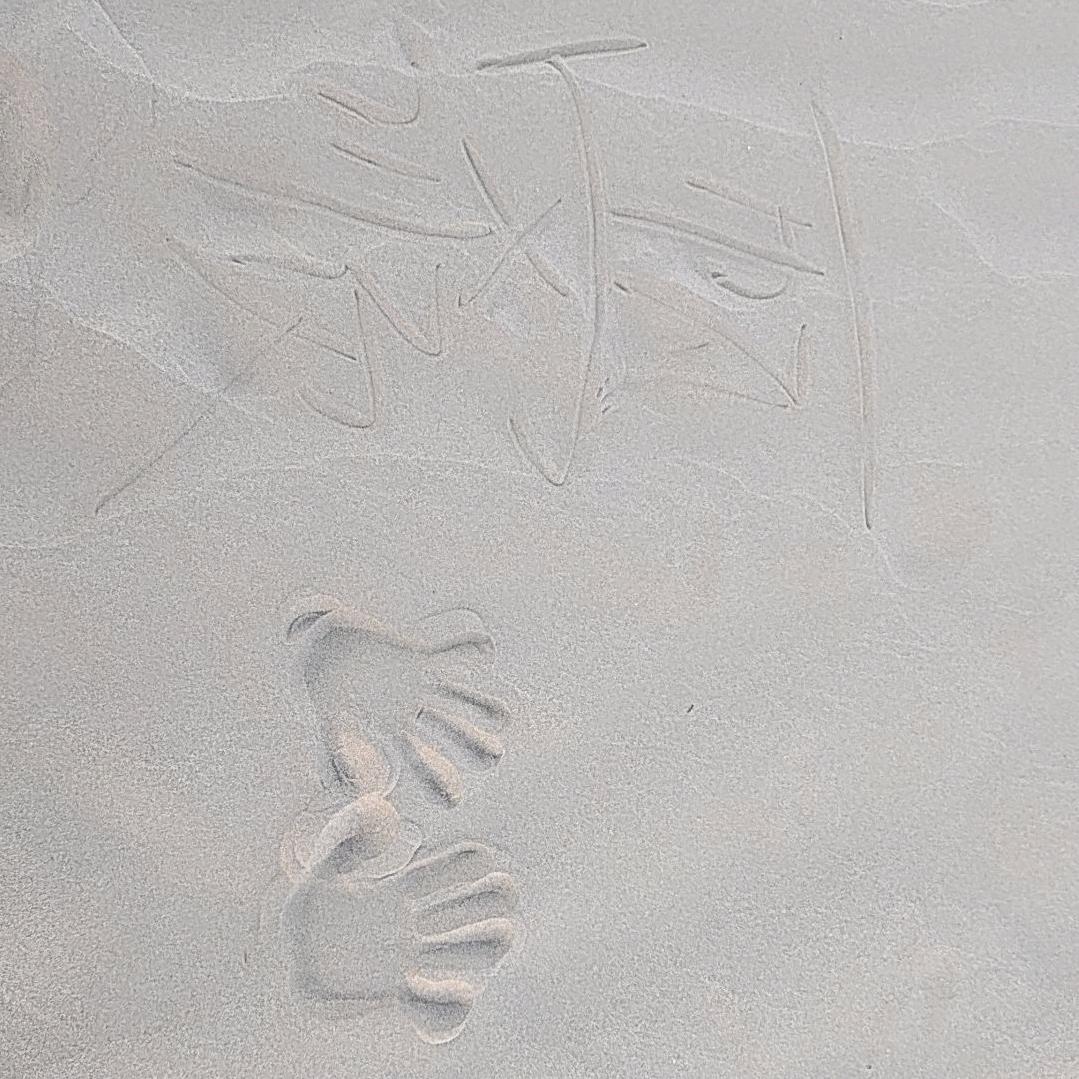 记忆永不褪色