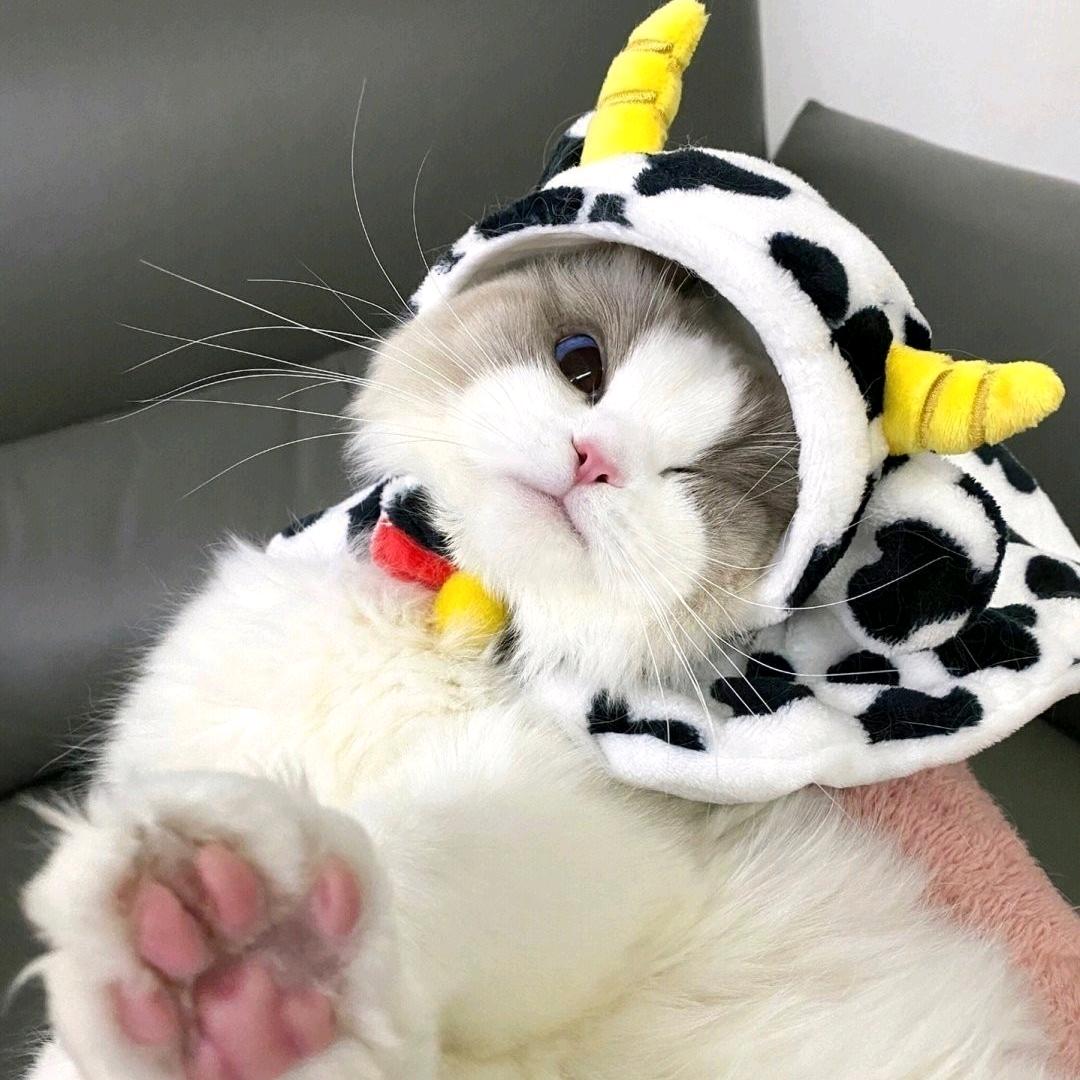 蓝那