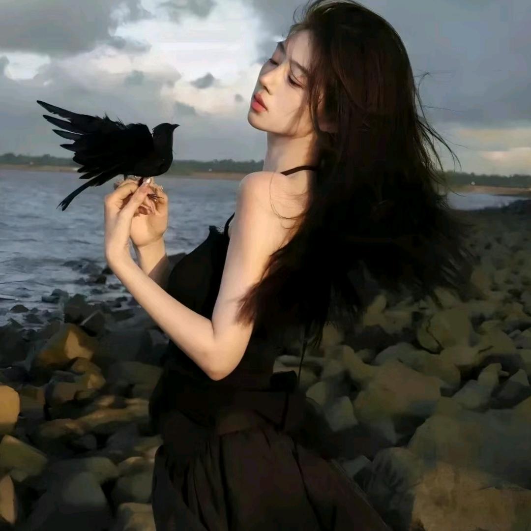 风不会留恋海ᦗ