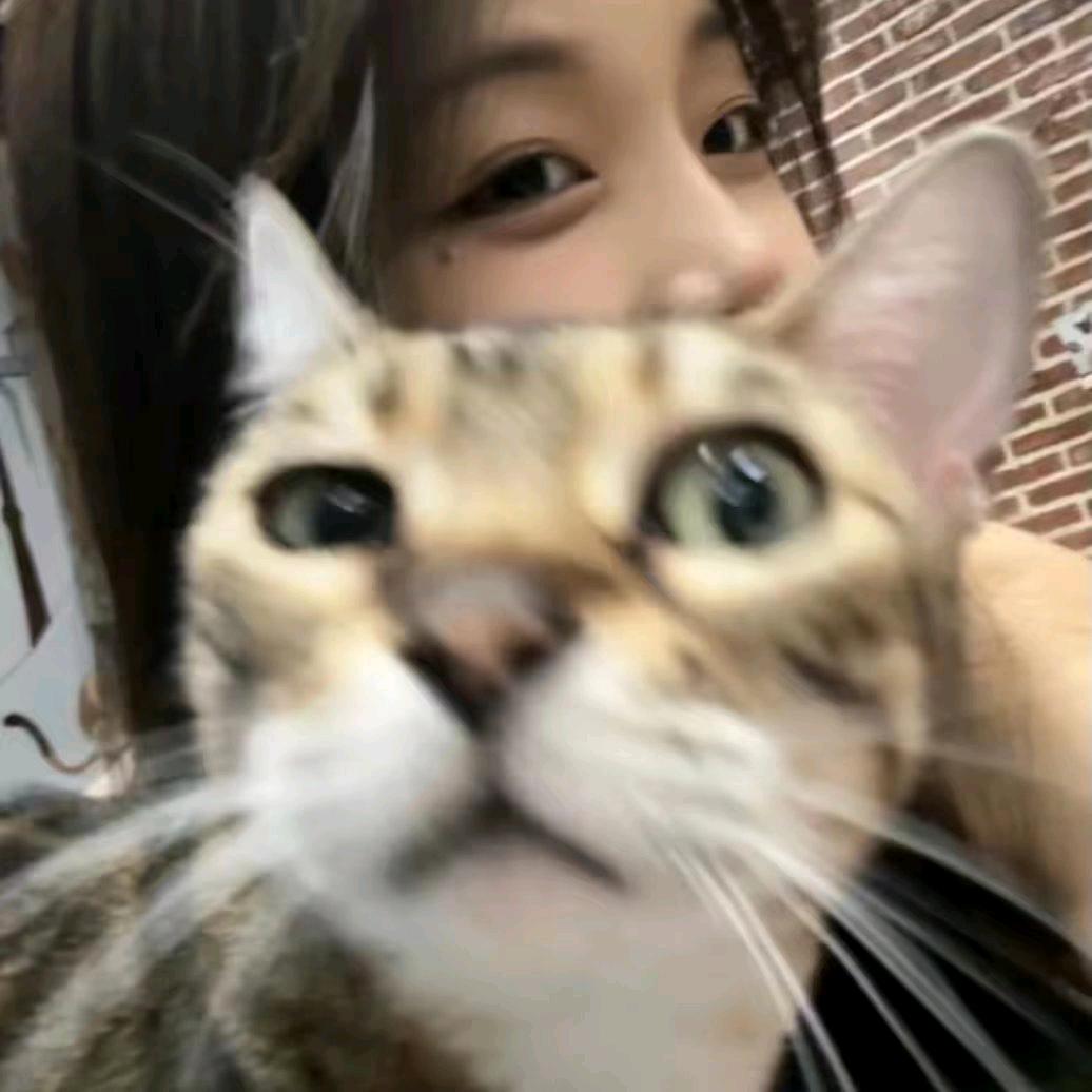 猫姐⋆🖤