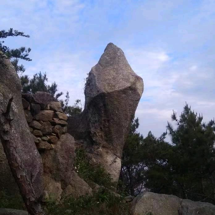 橄榄山【酒坊】