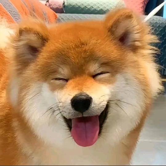 扫帚