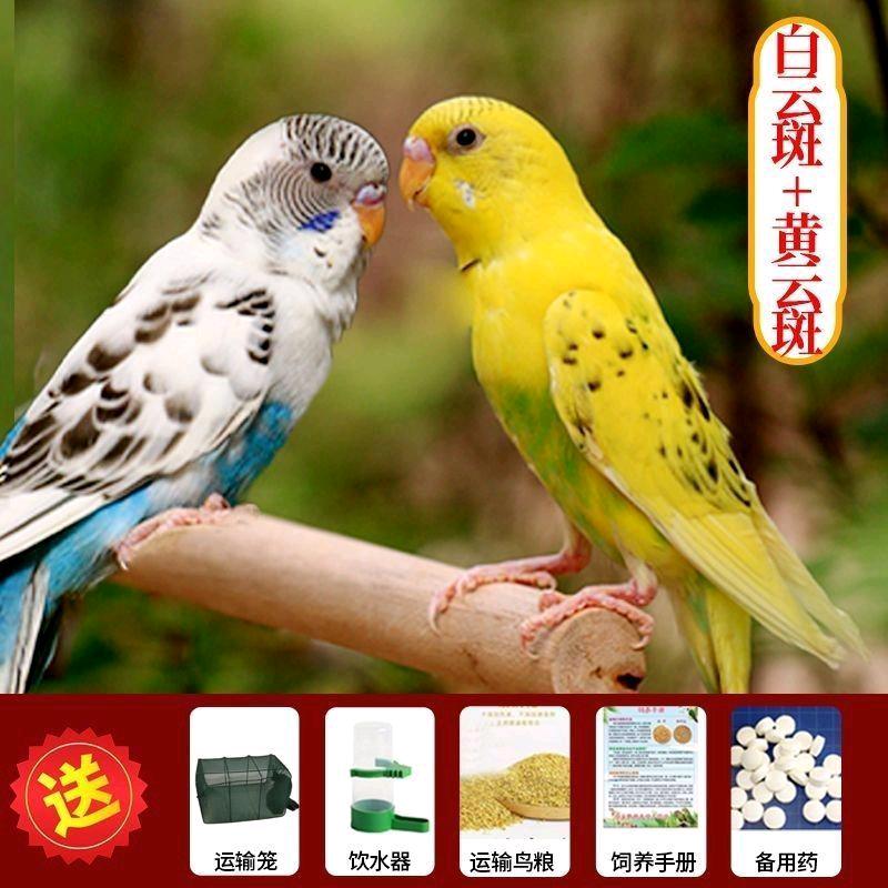 创业