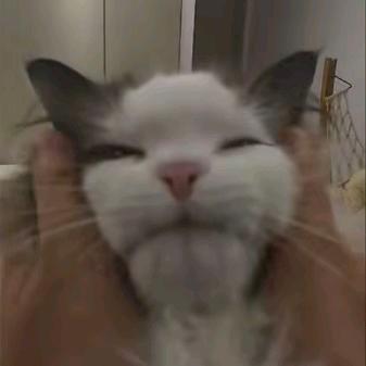 一个压力