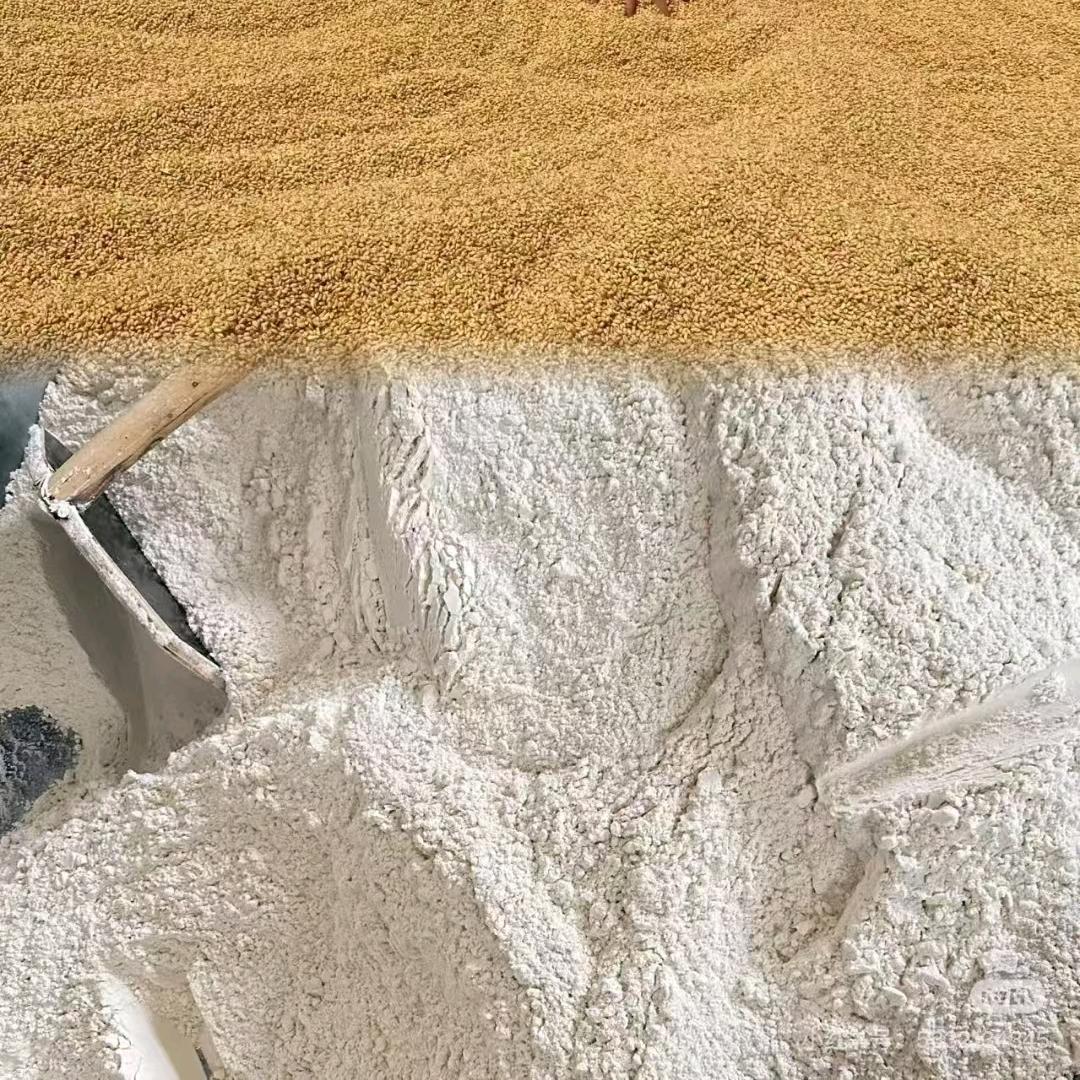 黄骅旱碱麦面粉,无任何添加