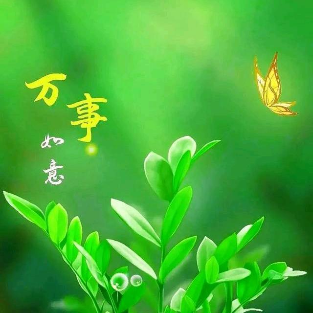 無詺